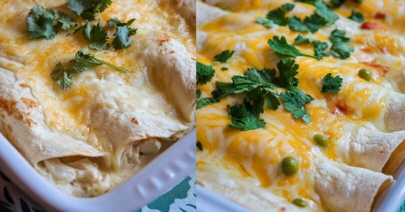 Cremige Weiße Hähnchen-Enchiladas