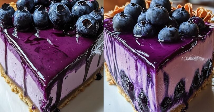 Blaubeer-Traum-Cheesecake